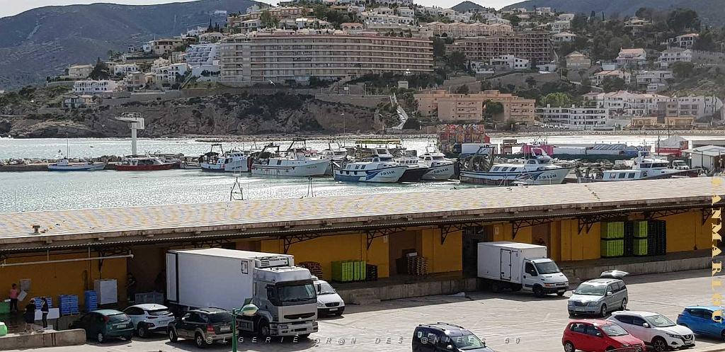 HOMMAGE A N.D. DE SANTA CRUZ A DALIAS DU 7 AU 10 JUIN 2019 (5).jpg